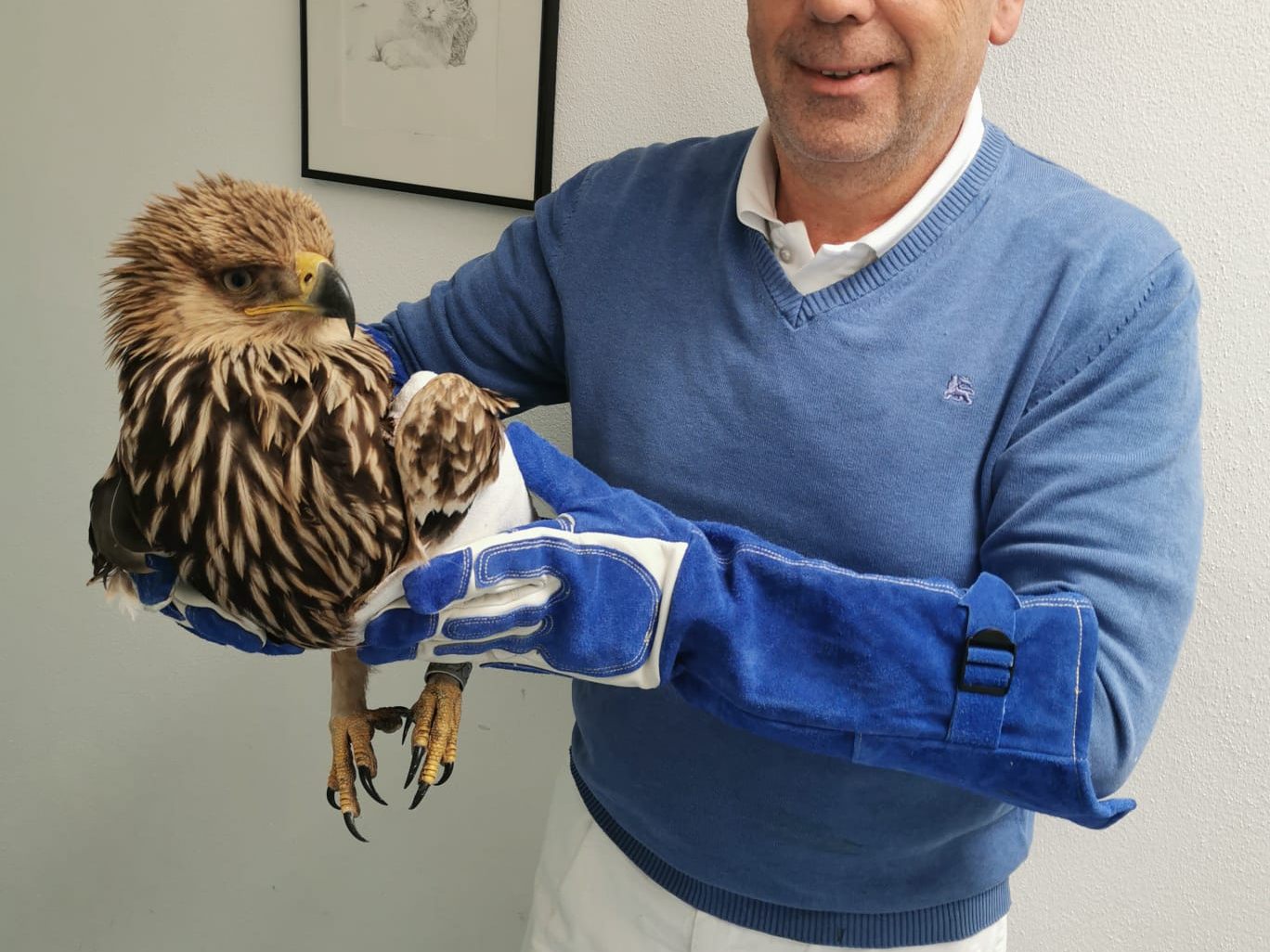 BirdLife Österreich: In Tulln angeschossener Kaiseradler kam in Tschechien zur Welt. BirdLife Österreich: In Tulln angeschossener Kaiseradler kam in Tschechien zur Welt.