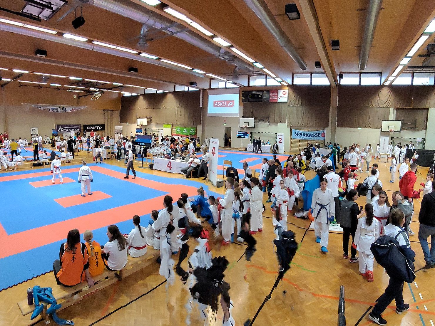Volles Haus: Der Internationale Lions Cup war auf den letzten Platz ausgebucht.
