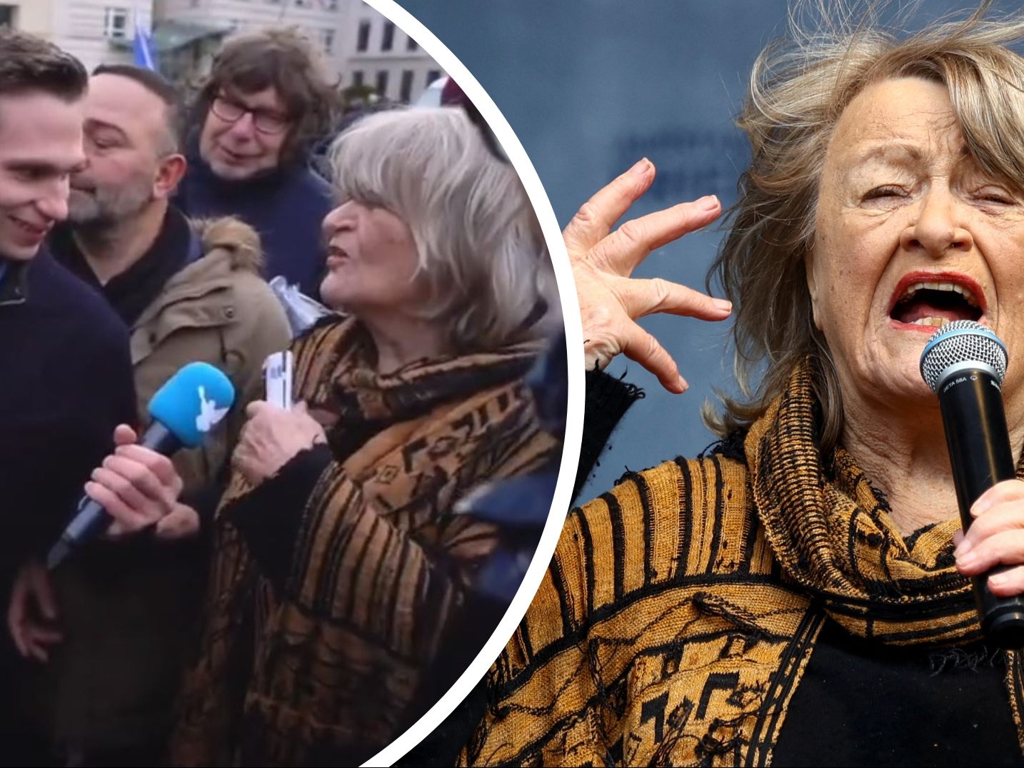 Alice Schwarzer auf der Demo für Friedensverhandlungen mit Russland. Alice Schwarzer auf der Demo für Friedensverhandlungen mit Russland.