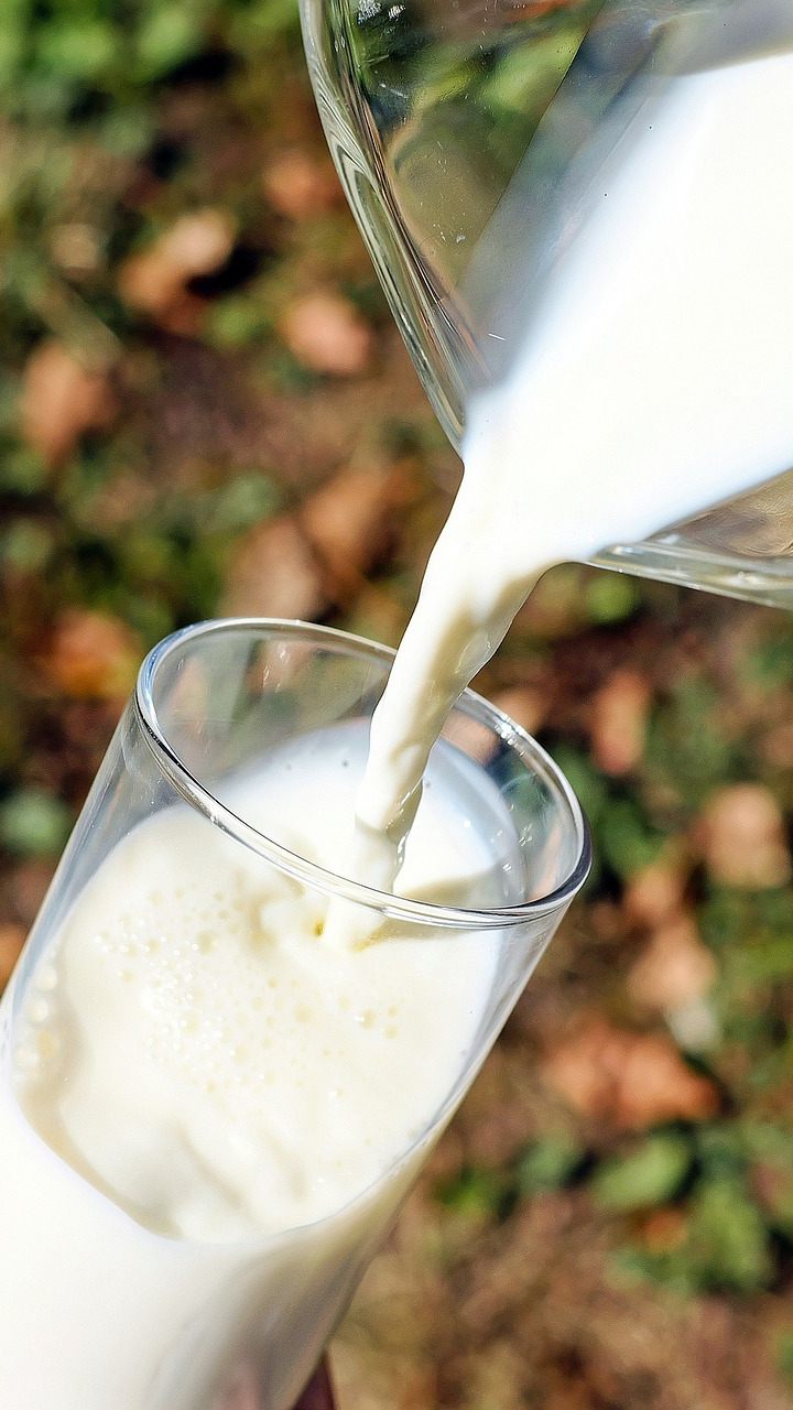 Heumilch wird für Bauern zu einem wichtigen Wirtschaftsfaktor.