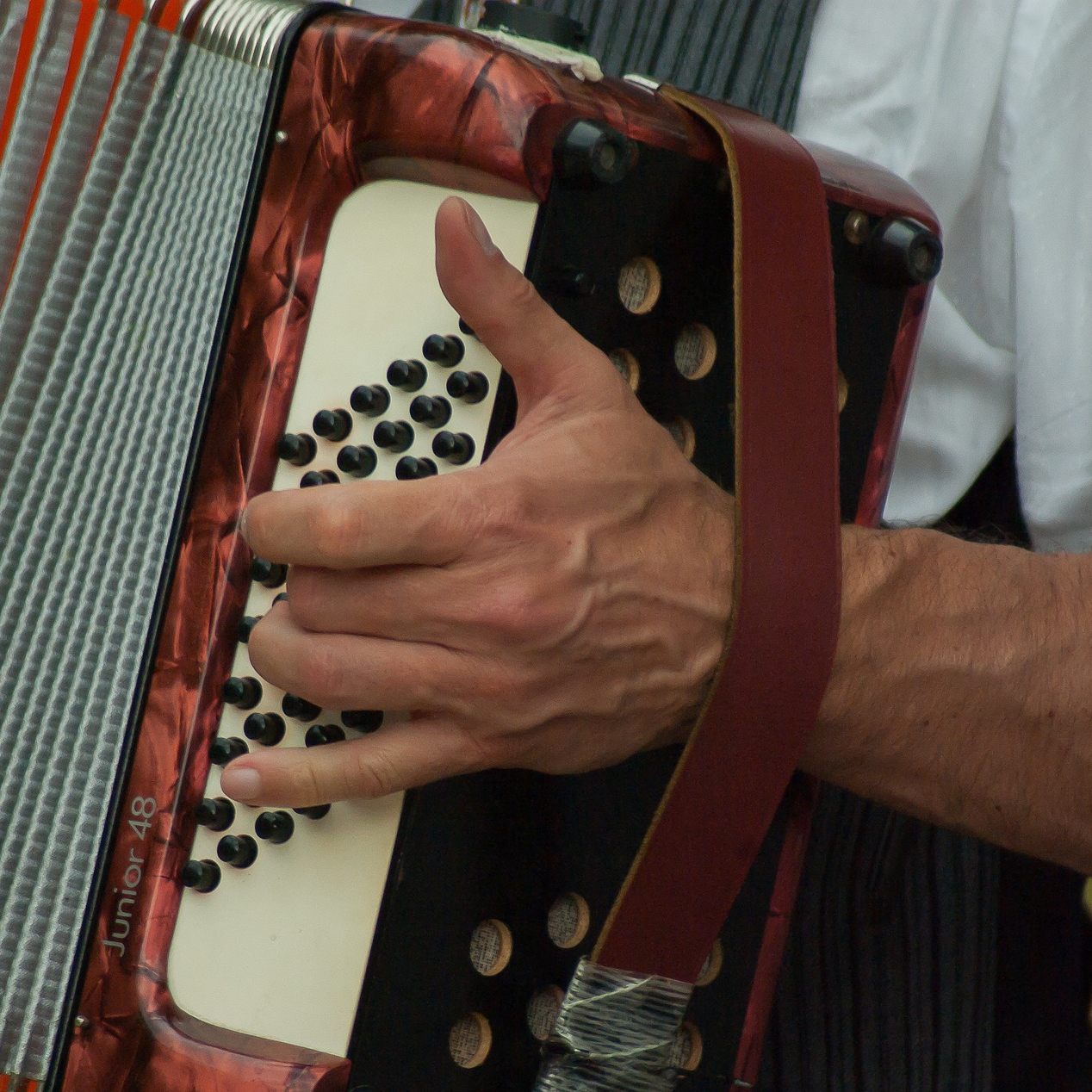 Das 24. Akkordeon Festival startet am 25. Februar in Wien.