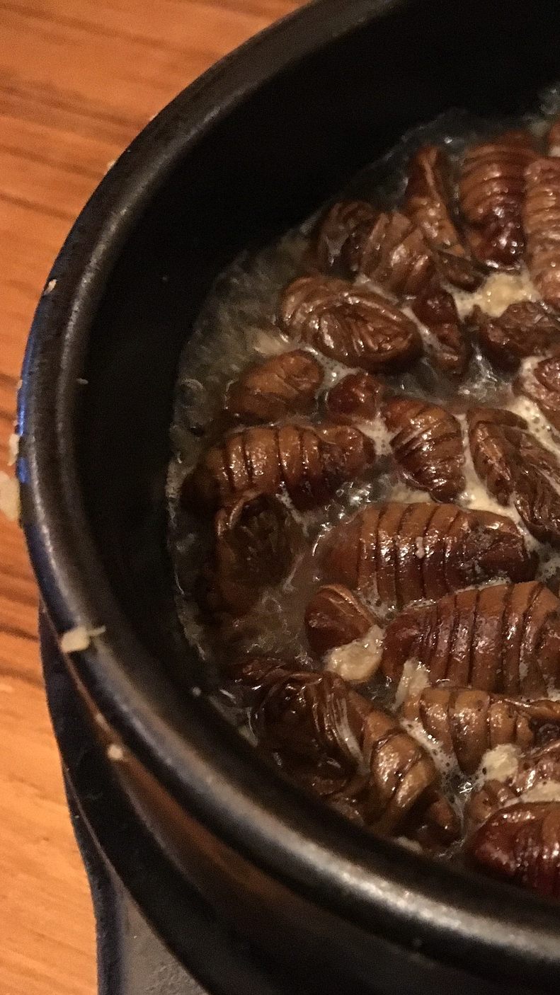 Auch zwei Wochen nach der EU-Verordnung zu Insekten in Lebensmitteln kursieren zahlreiche Falschmeldungen im Internet.