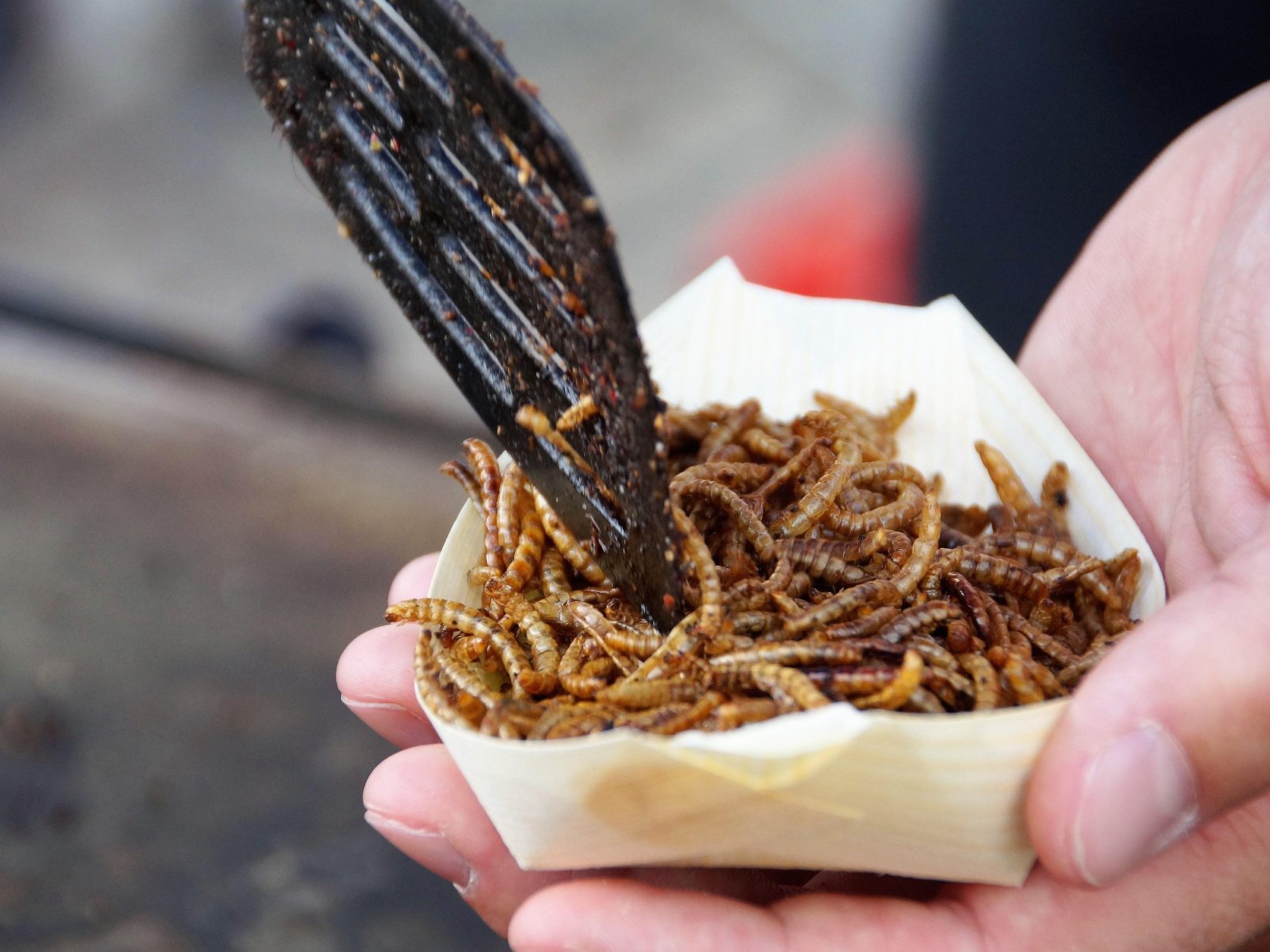 Lebensmittel mit Insekten als Zutat, müssen entsprechend gekennzeichnet werden.