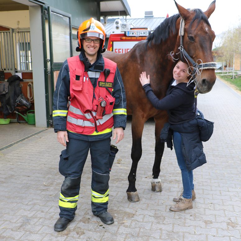 Das Pferd "Remy" wurde aus seiner misslichen Lage befreit.