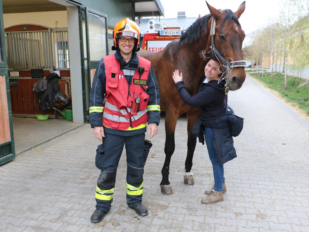 Das Pferd "Remy" wurde aus seiner misslichen Lage befreit. Das Pferd "Remy" wurde aus seiner misslichen Lage befreit.