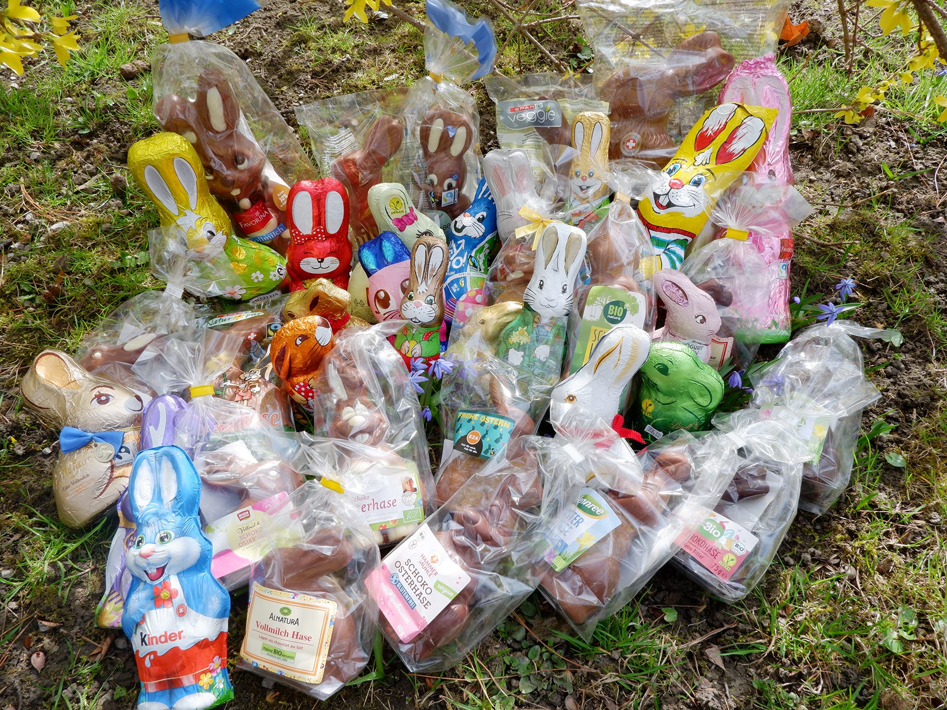 33 Schoko-Osterhasen aus heimischen Supermärkten wurden überprüft.