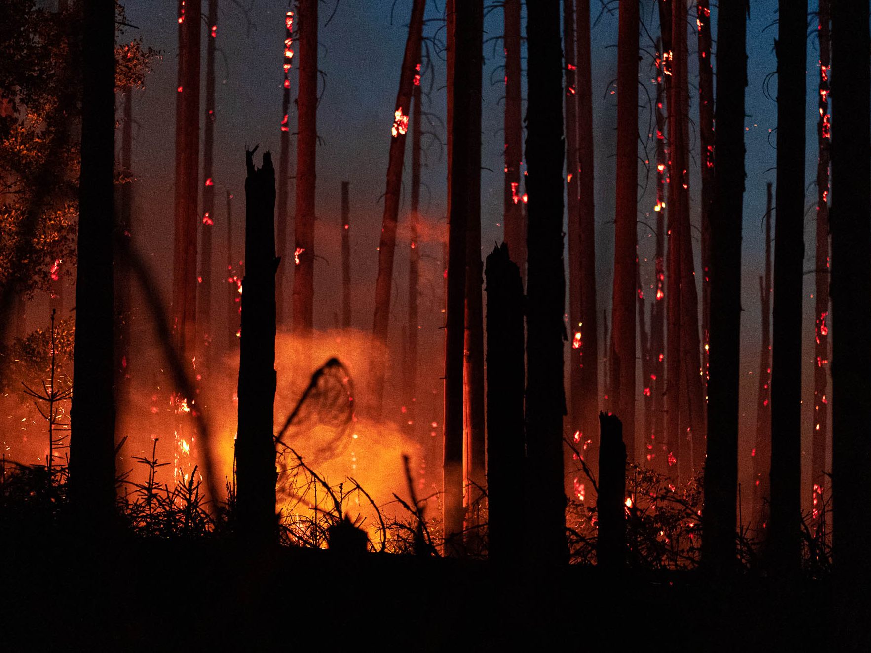Laut Ubimet steige durch die derzeitige Trockenheit die Waldbrandgefahr in Österreich deutlich an. Laut Ubimet steige durch die derzeitige Trockenheit die Waldbrandgefahr in Österreich deutlich an.