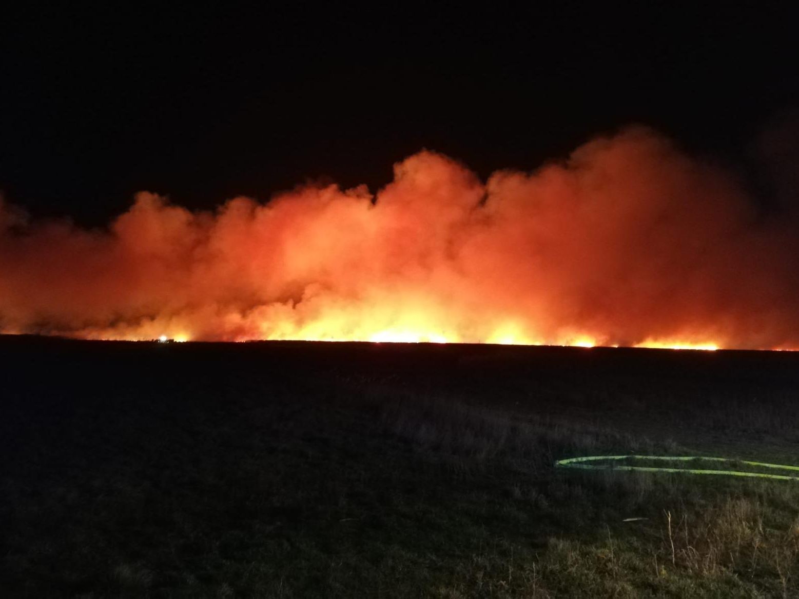 Am Neusiedler See kam es erneut zu einem Schilfbrand. Am Neusiedler See kam es erneut zu einem Schilfbrand.