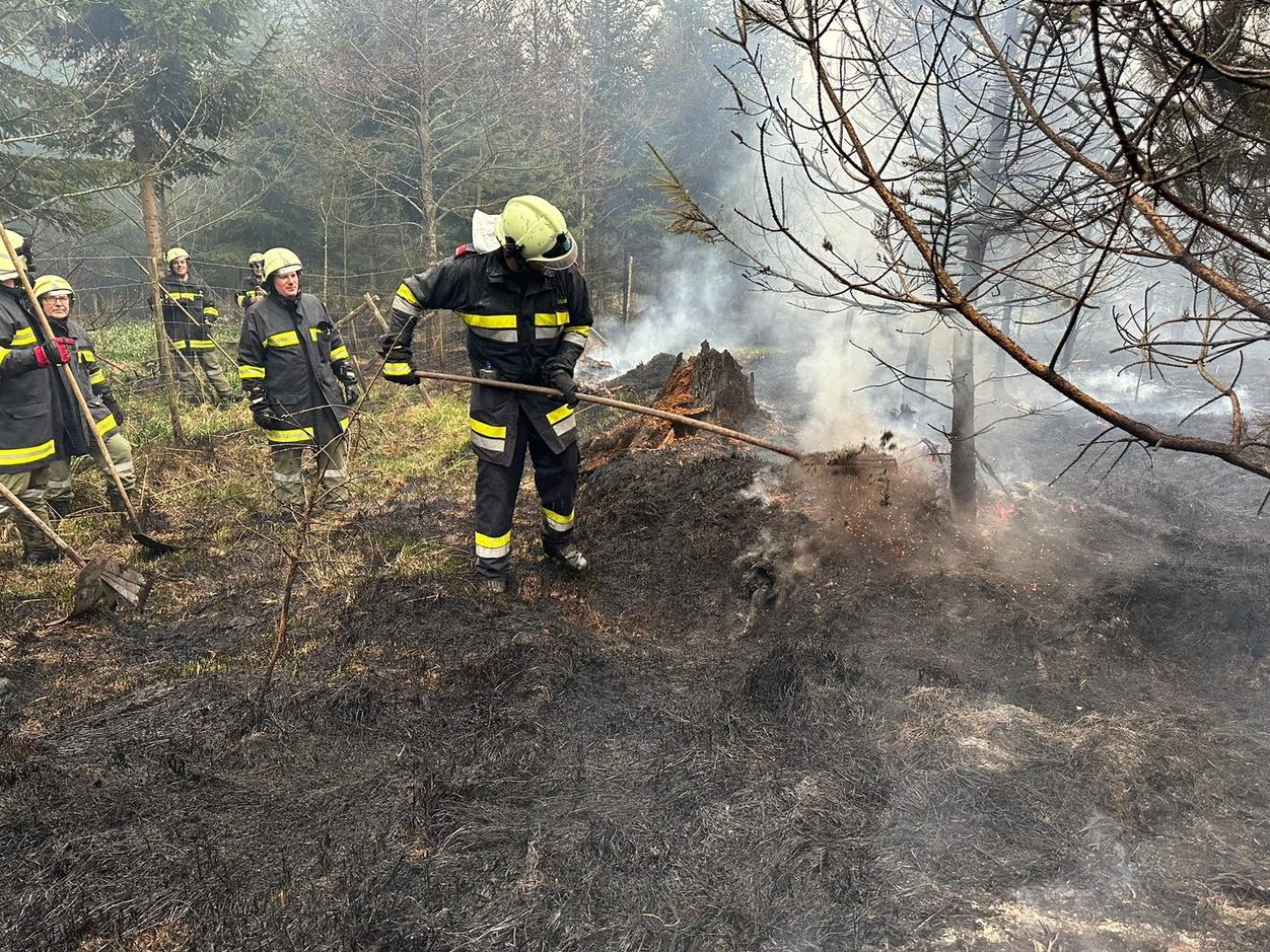 Der Waldbrand in Karlstetten wurde durch eine Zigarette ausgelöst. Der Waldbrand in Karlstetten wurde durch eine Zigarette ausgelöst.