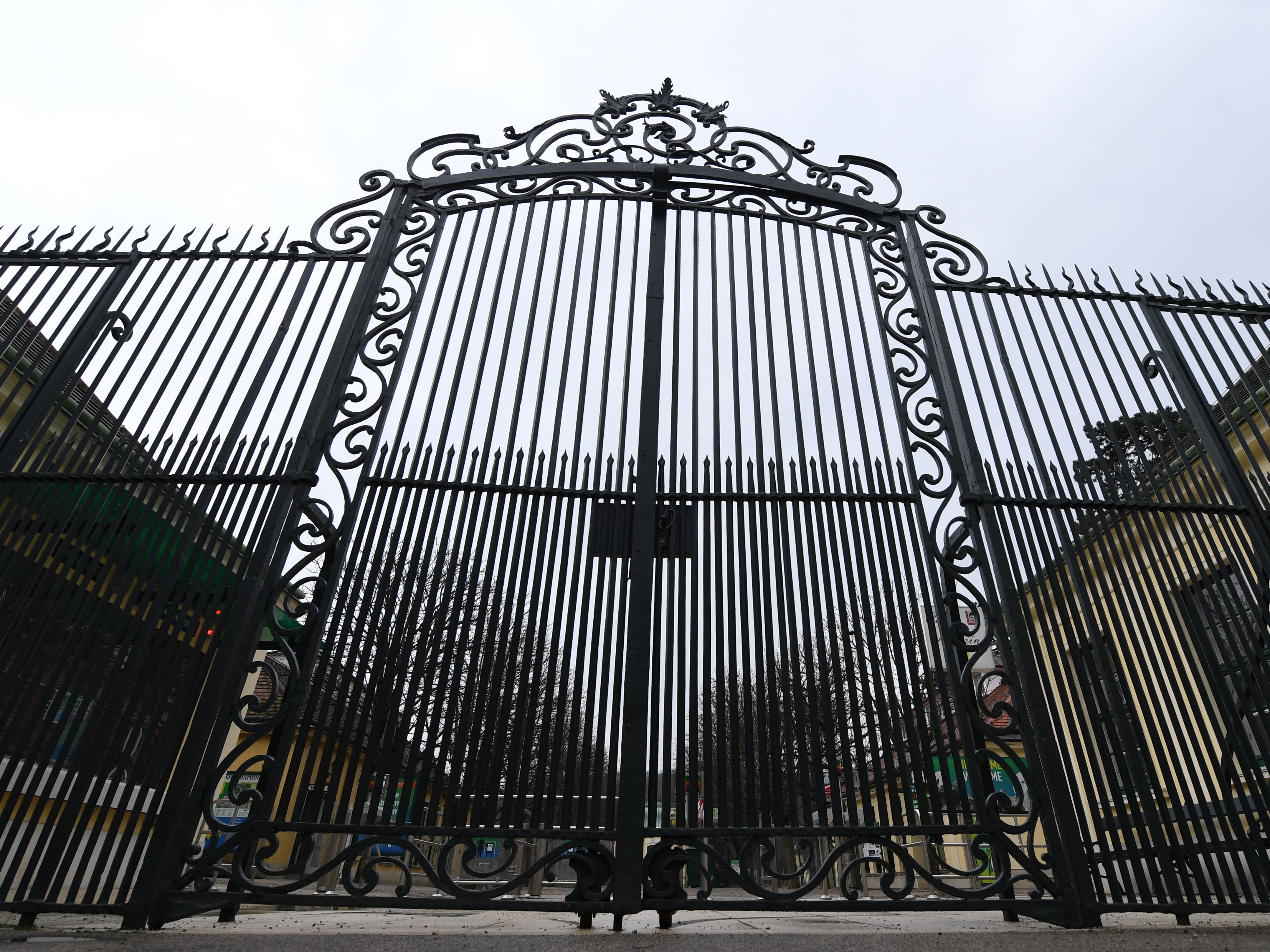 Der Wiener Tiergarten Schönbrunn ist am Samstag geschlossen.