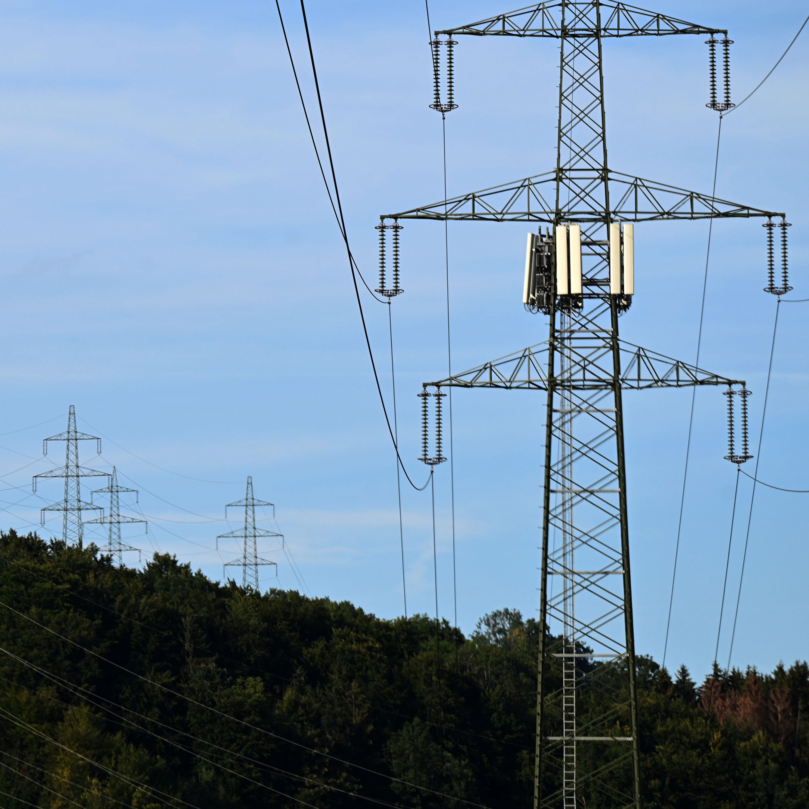 Der Unternehmerverband "Senat der Wirtschaft" will eine Kartellprüfung des Strommarktes.