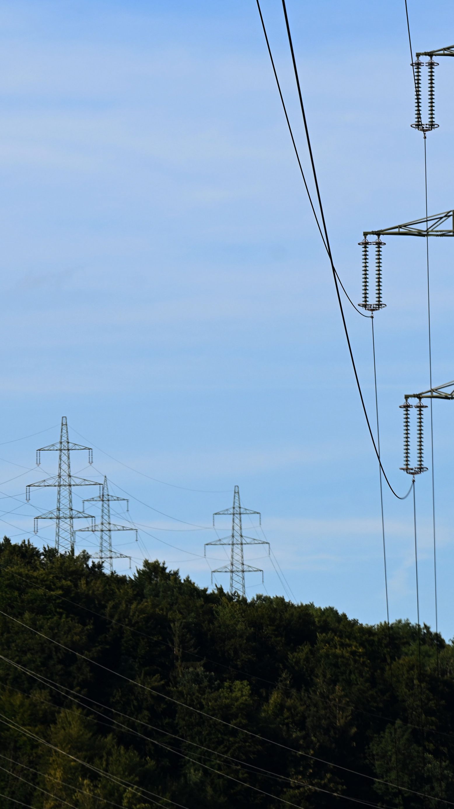 Der Unternehmerverband "Senat der Wirtschaft" will eine Kartellprüfung des Strommarktes.