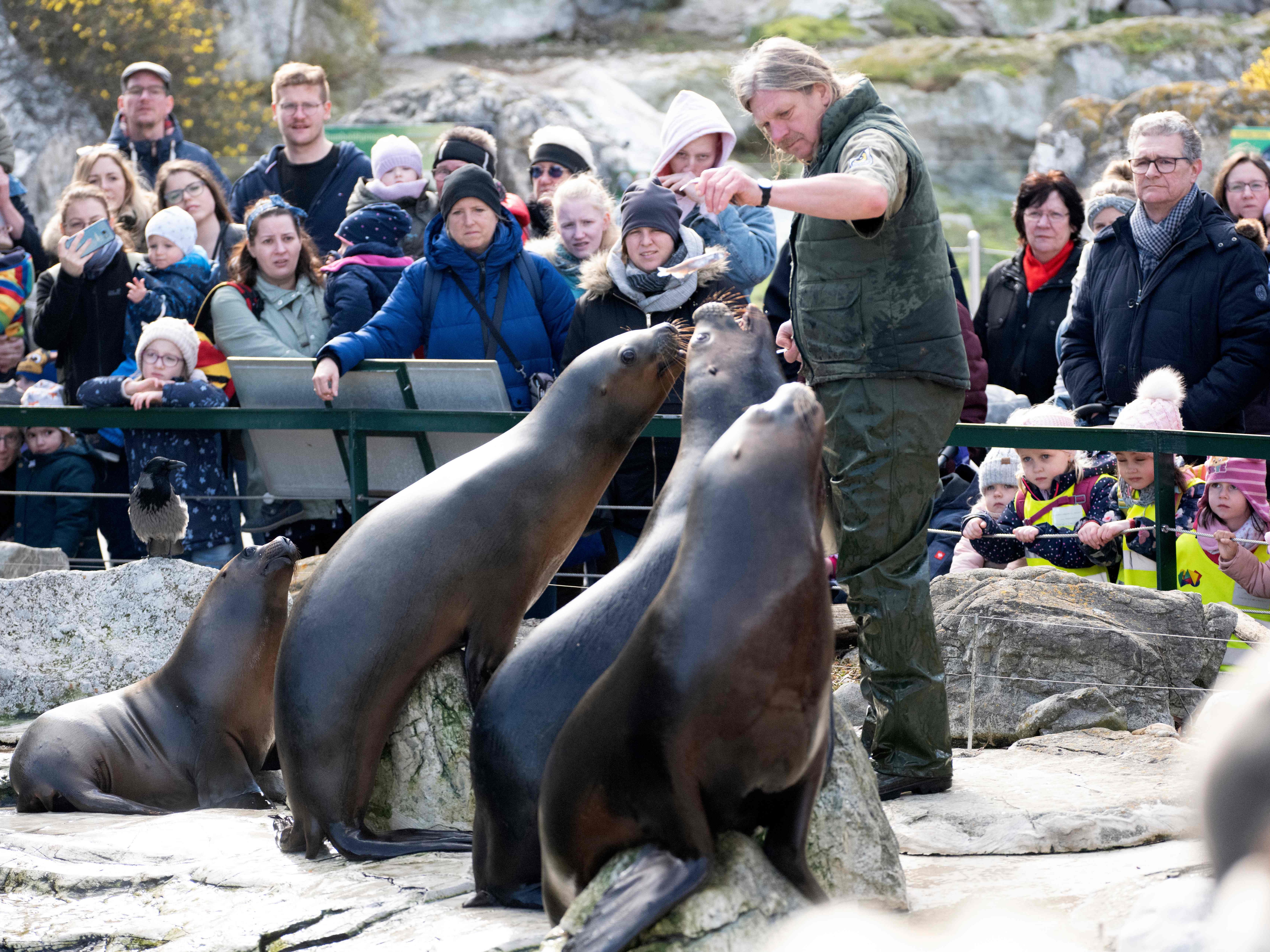 Mehr als zwei Millionen Besucher verzeichnete der Schönbrunner Tiergarten im Vorjahr.