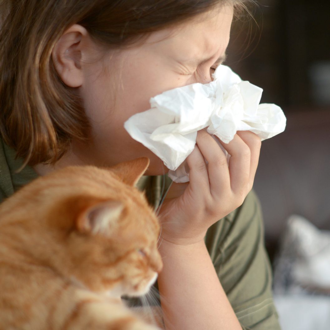 Das kann bei einer Tierhaarallergie helfen.