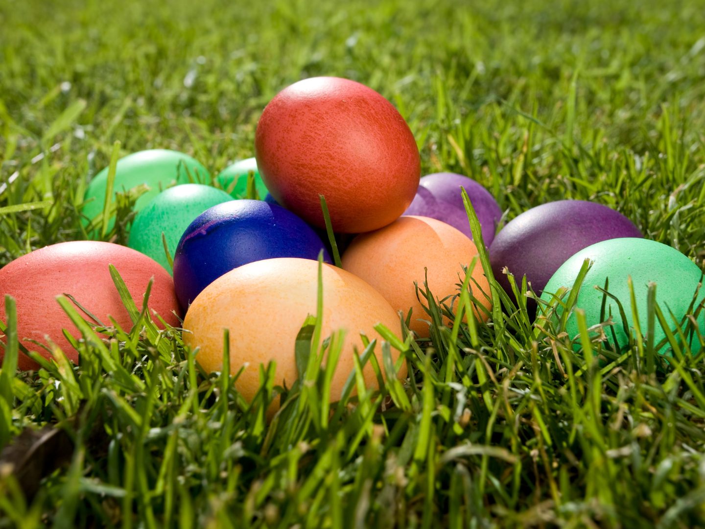 Darf man gefärbte Eierschalen im Kompost entsorgen?