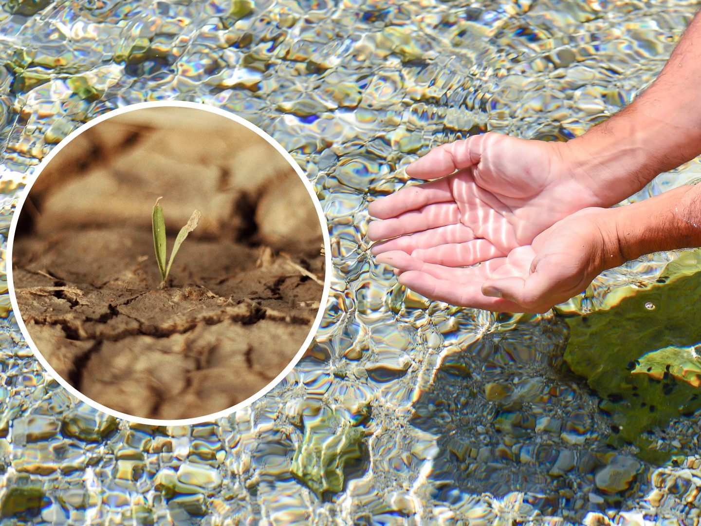 Österreichs Grundwasser schwindet - das hat mehrere Ursachen. Österreichs Grundwasser schwindet - das hat mehrere Ursachen.