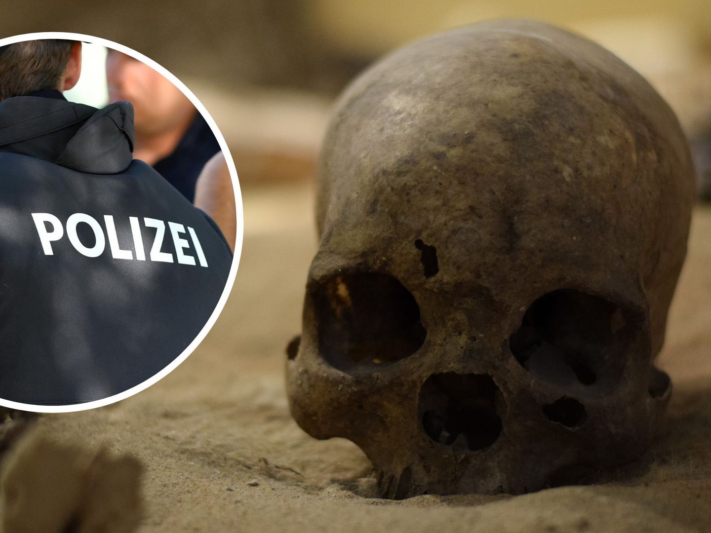 Bei dem Totenkopf-Fund handelt es sich laut Polizei nicht um einen Kriminalfall. Bei dem Totenkopf-Fund handelt es sich laut Polizei nicht um einen Kriminalfall.