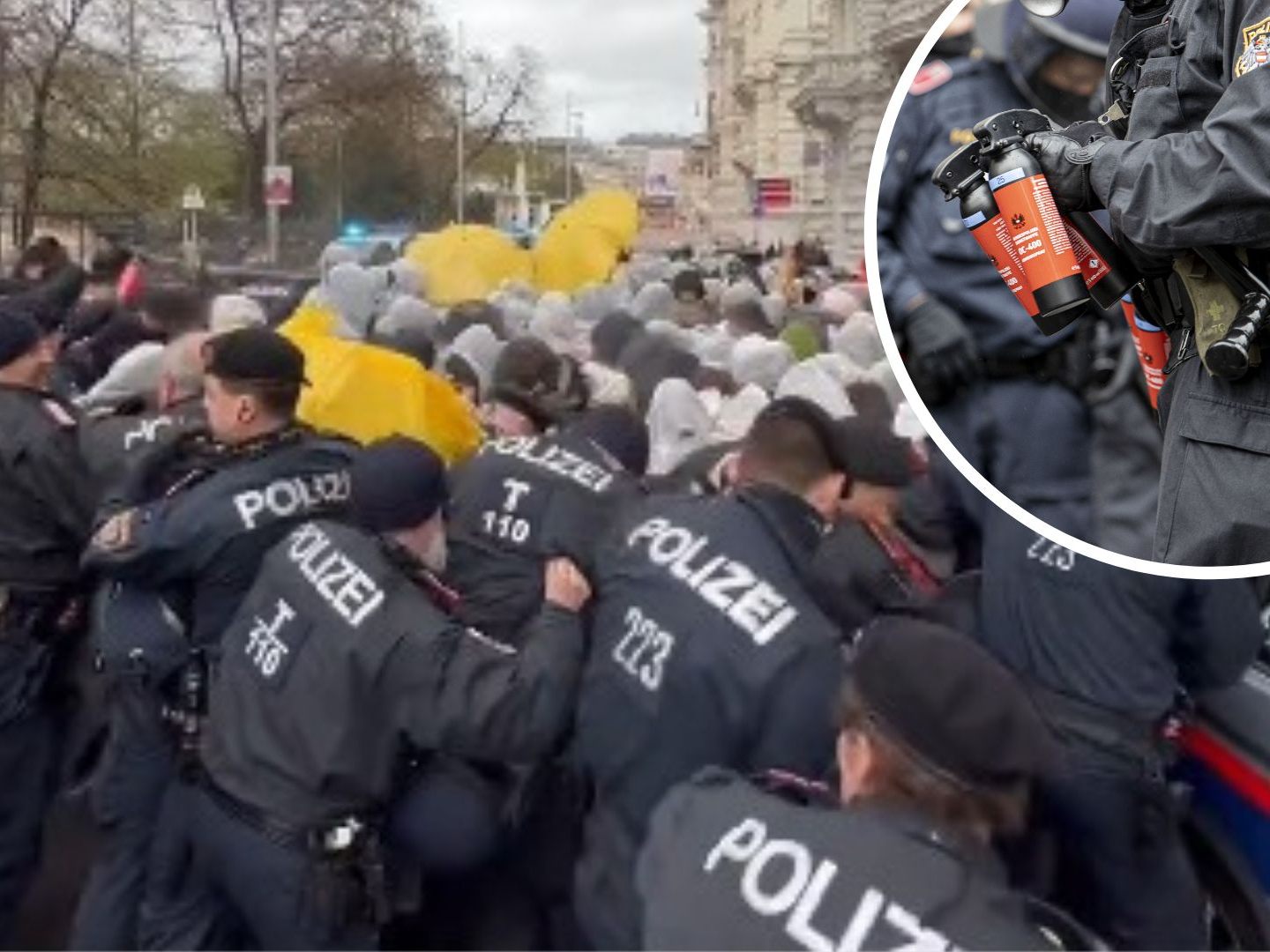 Ein Video zeigt den Zusammenstoß von Aktivisten mit der Polizei. Ein Video zeigt den Zusammenstoß von Aktivisten mit der Polizei.
