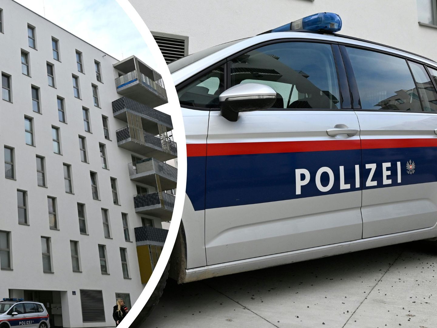 Ein 22-Jähriger soll in Wien-Liesing seine Mutter erstochen haben. Ein 22-Jähriger soll in Wien-Liesing seine Mutter erstochen haben.
