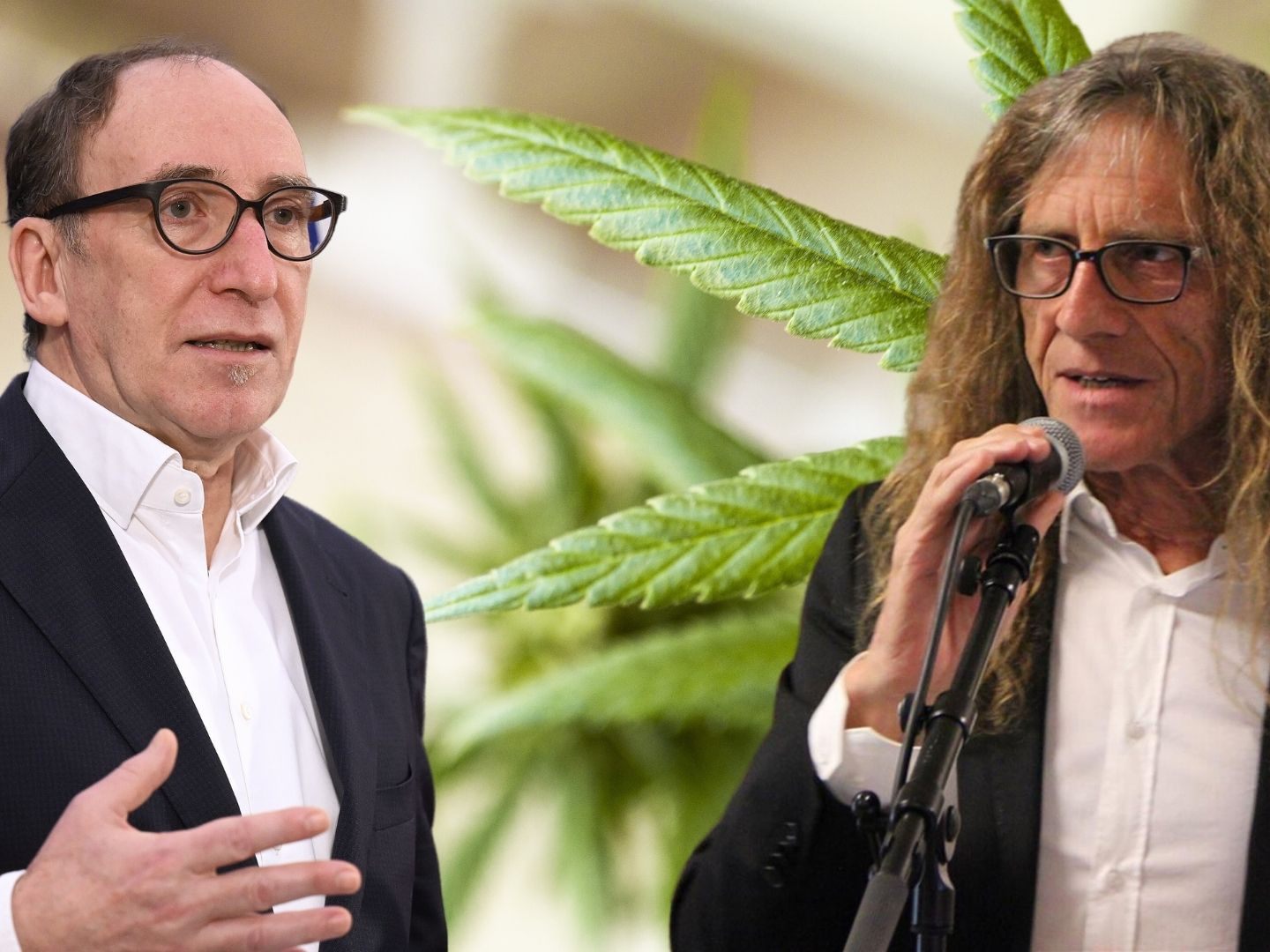 Gesundheitsminister Johannes Rauch (l., Grüne) wird von Bernhard Amann scharf kritisiert.
