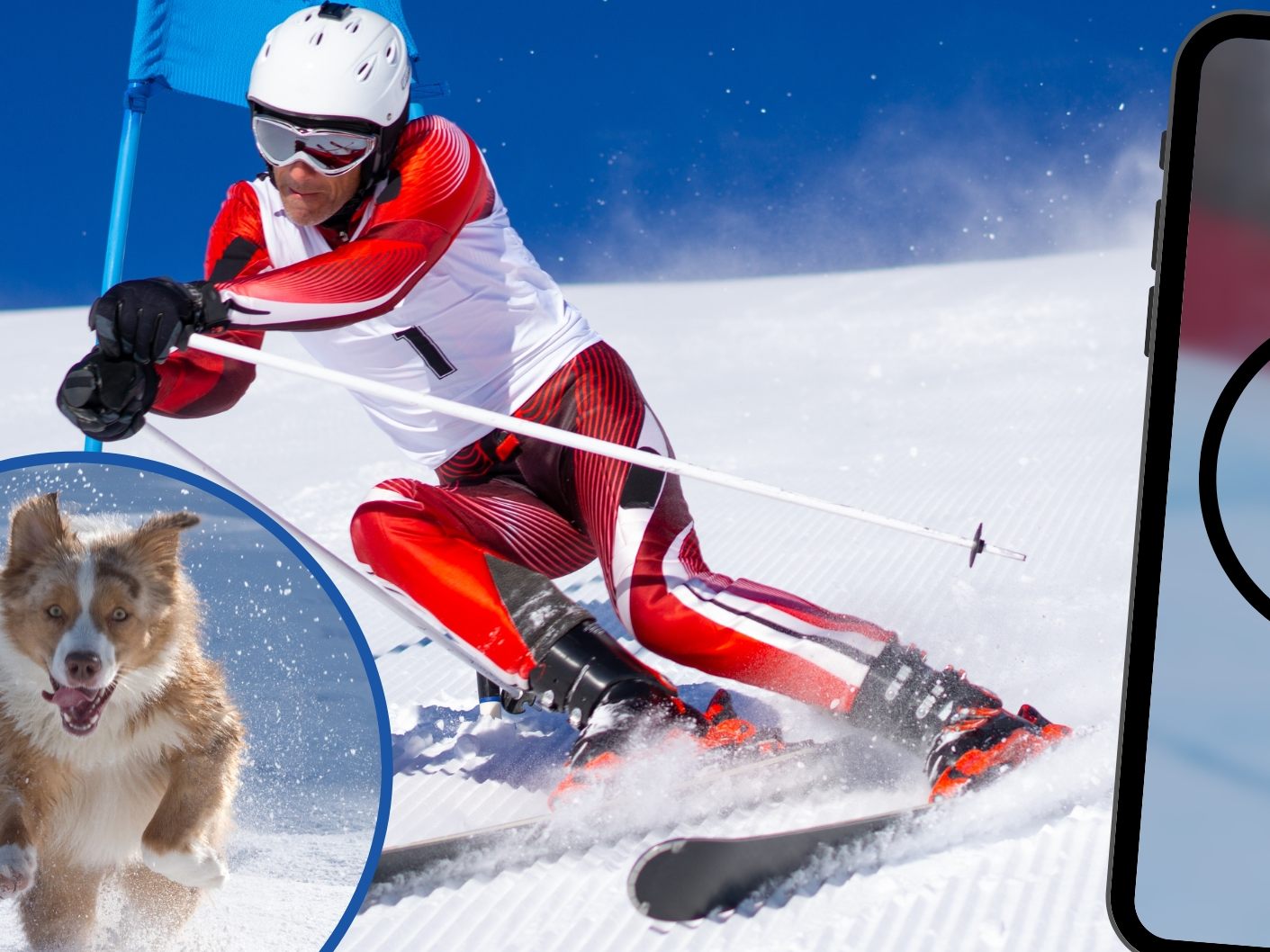 Hund sorgt bei Ski-Weltcup für Unterbrechungen Hund sorgt bei Ski-Weltcup für Unterbrechungen