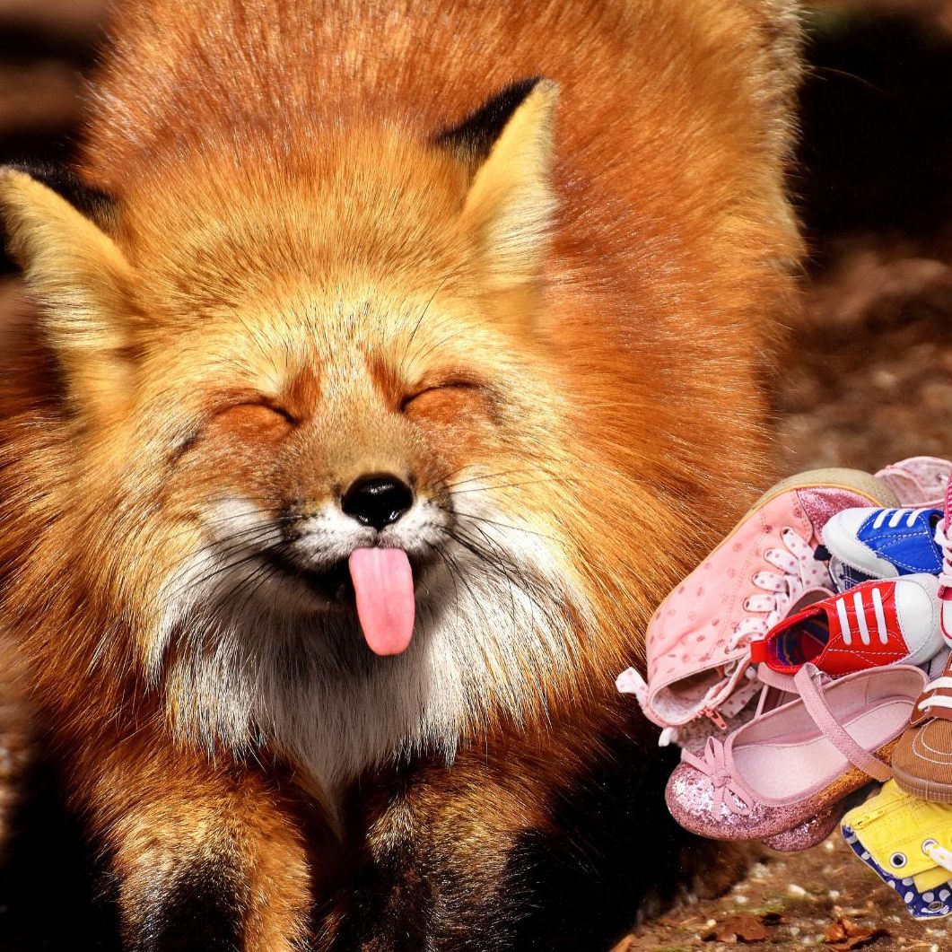 Freche Füchse klauen gerne Schuhe.