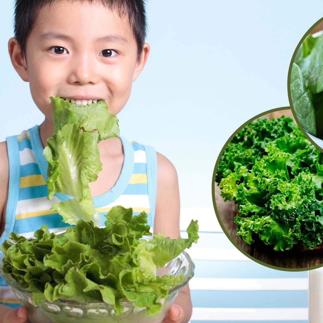 Gemüse ist gesund,mehr Gemüse braucht das Land - besonders diese drei Sorten.