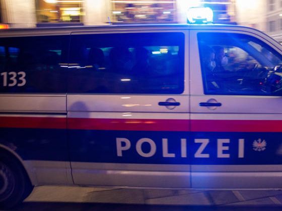 Ein aggressiver Patient attackierte in Wien Polizisten.