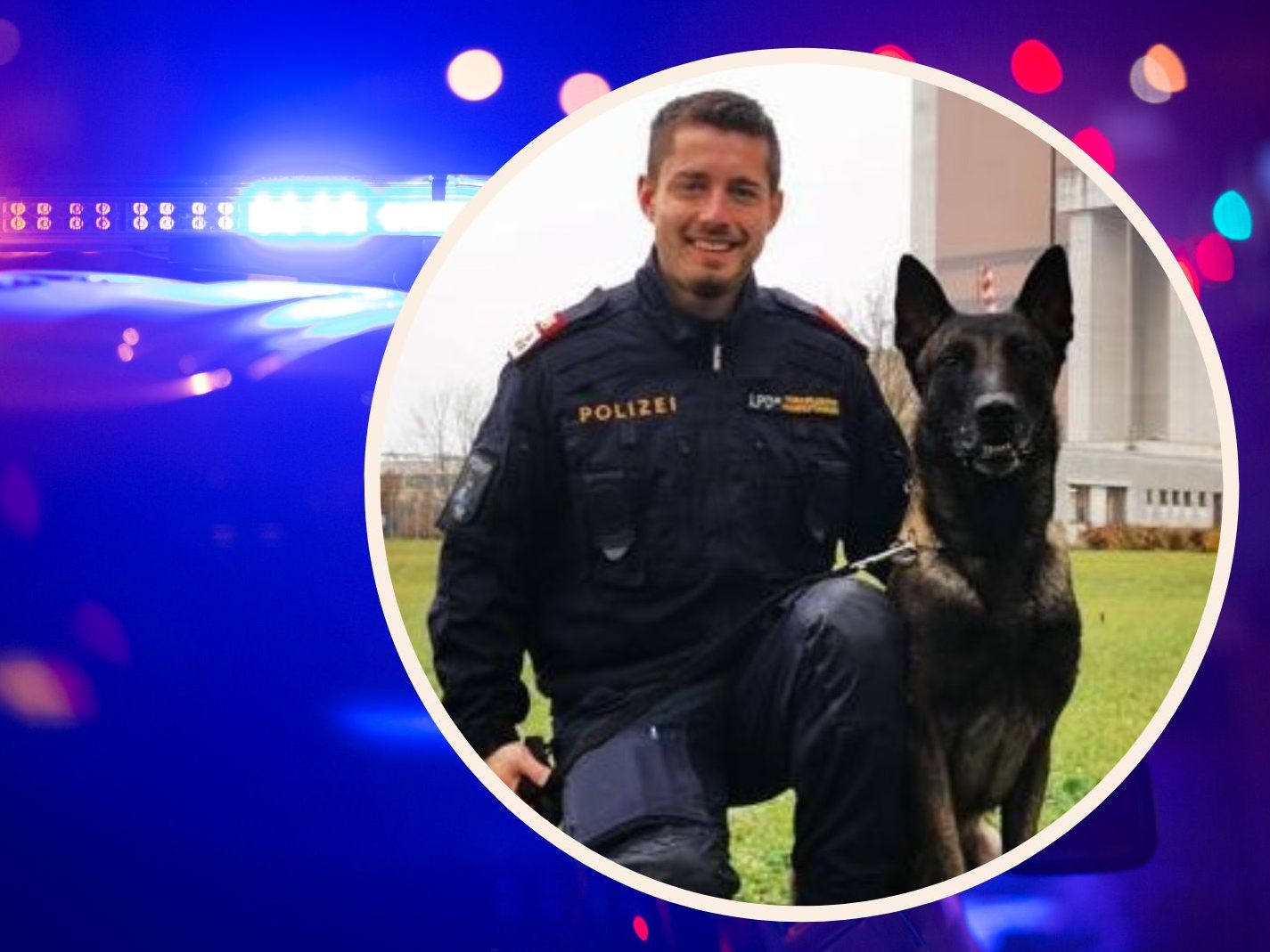 Erfolgreicher Stöbereinsatz des Polizeidiensthundes "Quento von Nacheron" in Göfis. Erfolgreicher Stöbereinsatz des Polizeidiensthundes "Quento von Nacheron" in Göfis.