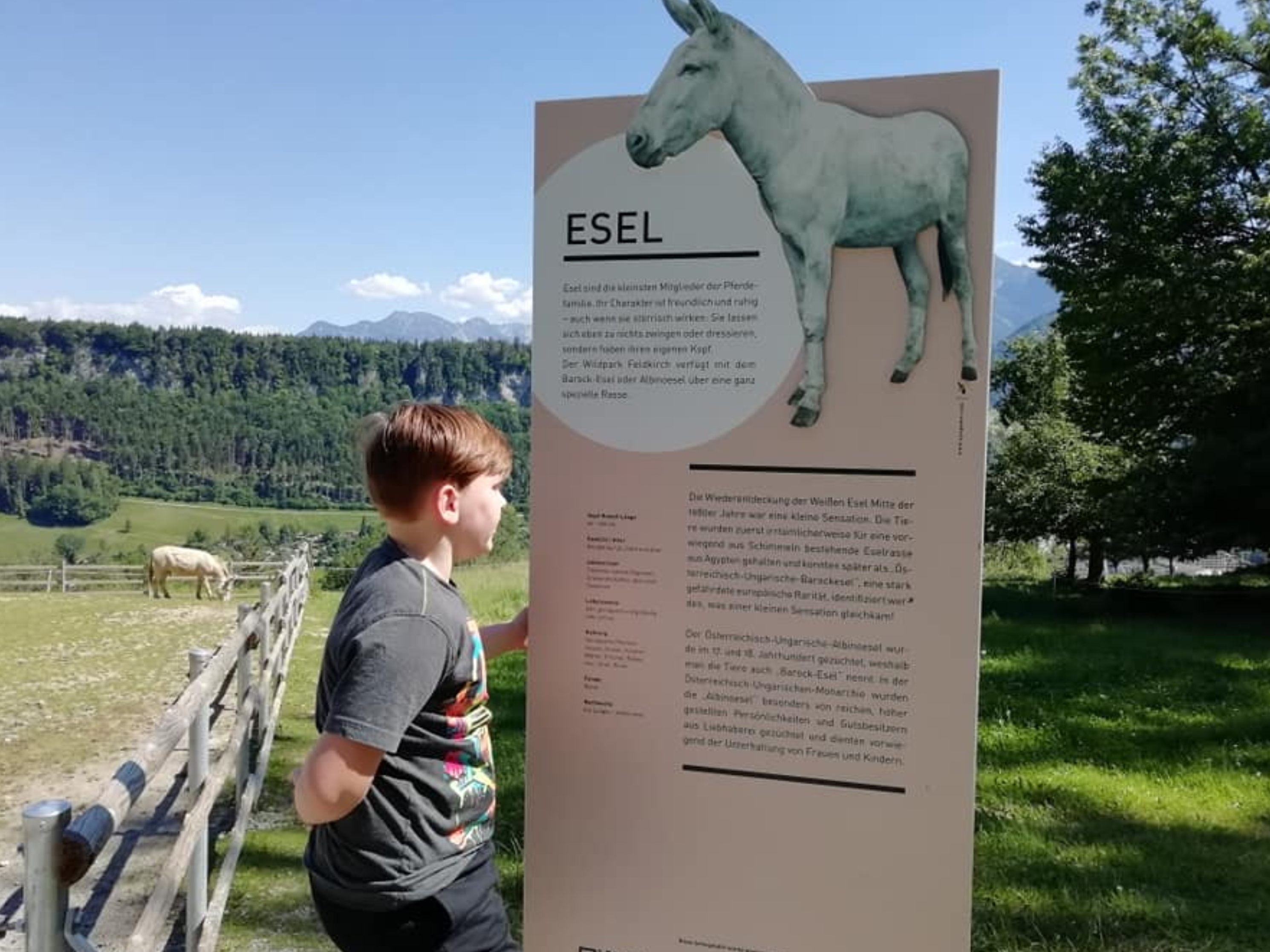 Der Feldkircher Wildpark bleibt mit einem Shuttlebus weiterhin bequem erreichbar Der Feldkircher Wildpark bleibt mit einem Shuttlebus weiterhin bequem erreichbar