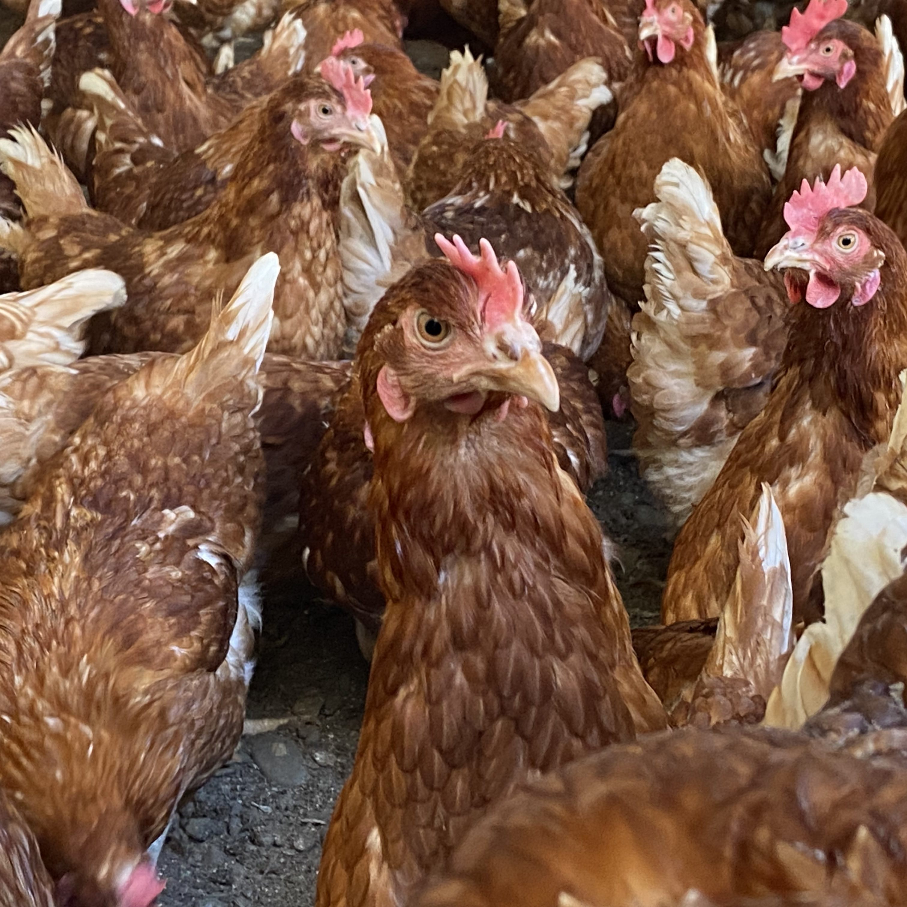 Bestimmte Vorsichtsmaßnahmen bleiben weiter geboten