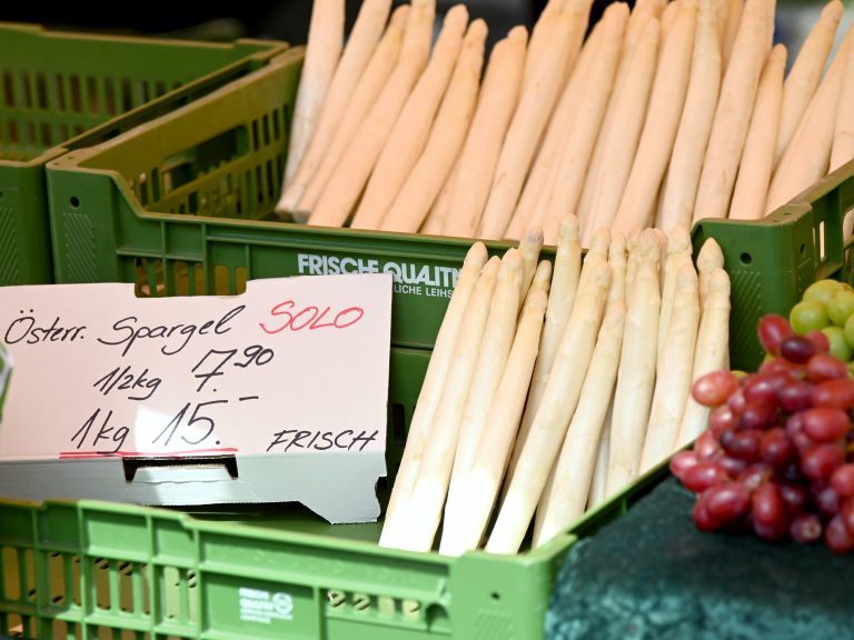 Österreichs Bauern erwarten 2023 eine gute Spargelsaison.