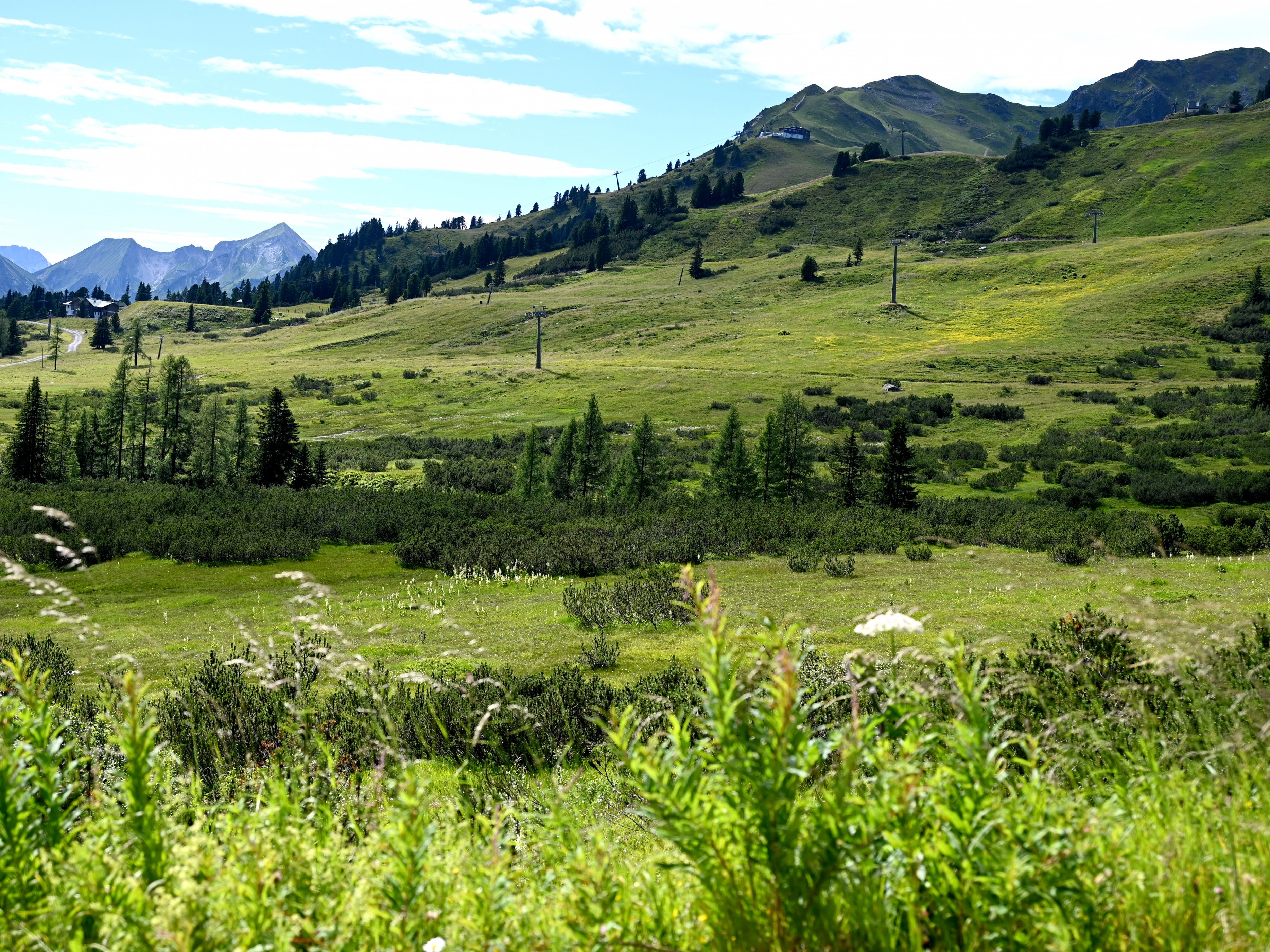 Der Umweltdachverband fürchtet eine Schwächung des Naturschutzes in Salzburg.