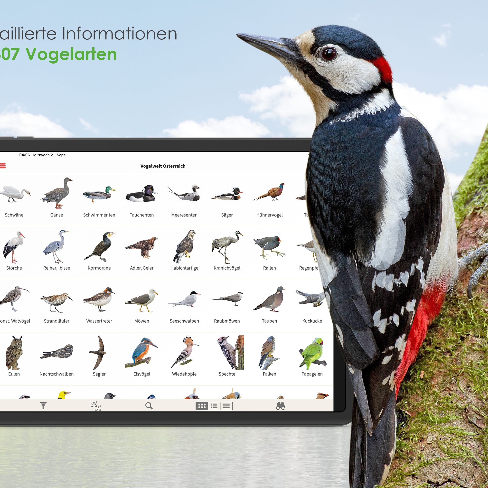 So sieht die App "Vögel in Österreich" auf dem iPad aus.