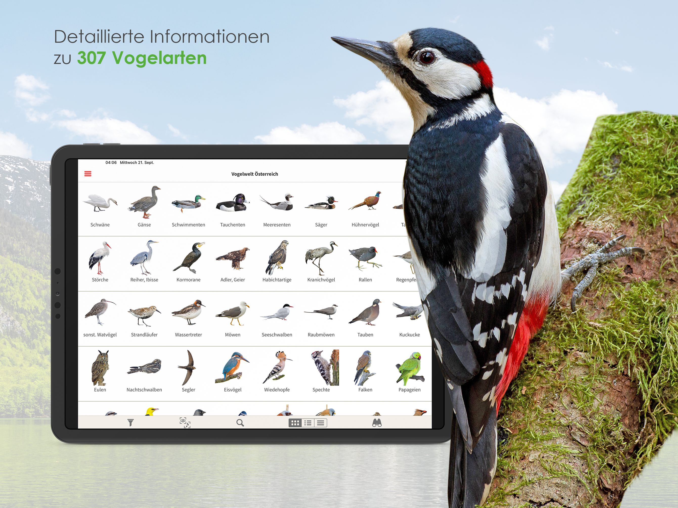 So sieht die App "Vögel in Österreich" auf dem iPad aus. So sieht die App "Vögel in Österreich" auf dem iPad aus.