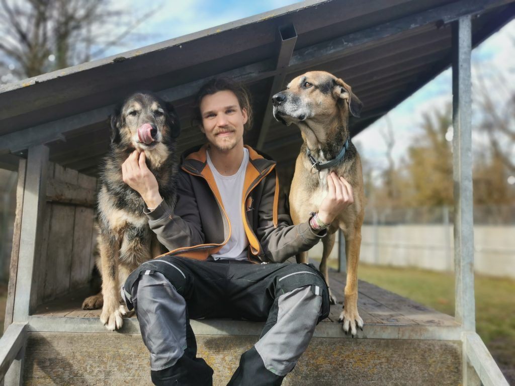 Die Vierbeiner Nanuk und Ares wünschen sich ein neues Zuhause VOL.AT