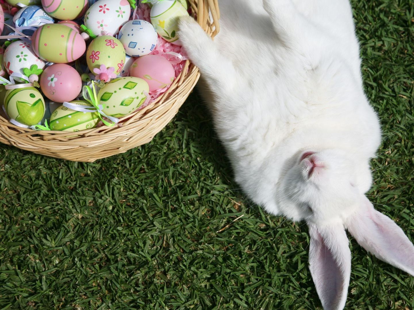 Zu Ostern gibt es in vielen Ländern unterschiedliche Bräuche. Zu Ostern gibt es in vielen Ländern unterschiedliche Bräuche.