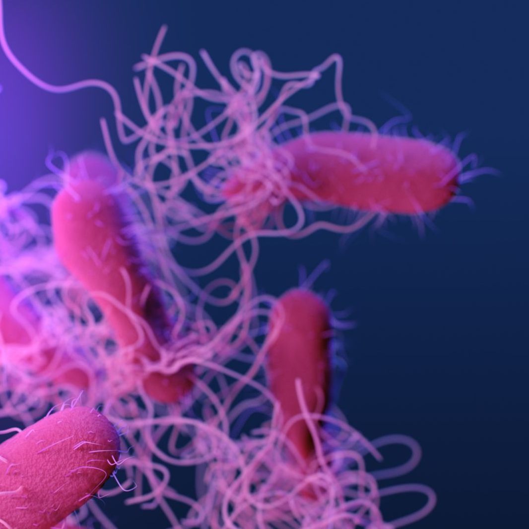 Wegen möglicher Salmonellen wurde der Sesam-Snack zurückgerufen.