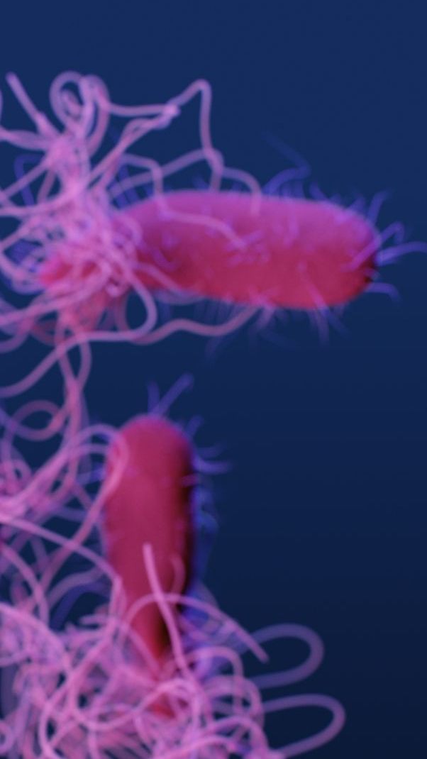 Wegen möglicher Salmonellen wurde der Sesam-Snack zurückgerufen.