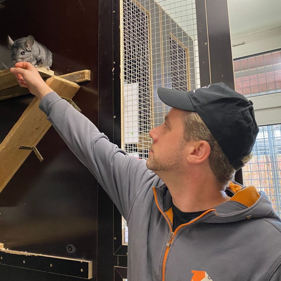 Gehören Kleintiere ins Osternest?