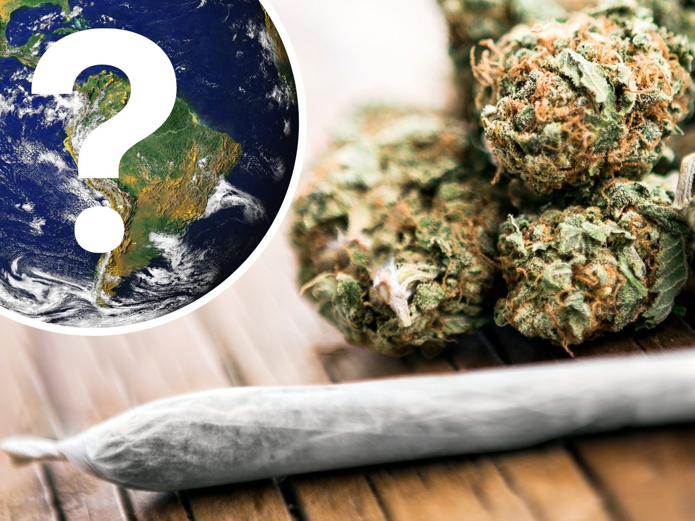 Als erstes Land der Welt legalisierte Uruguay 2013 den Anbau, den Vertrieb und den Konsum von Cannabis.