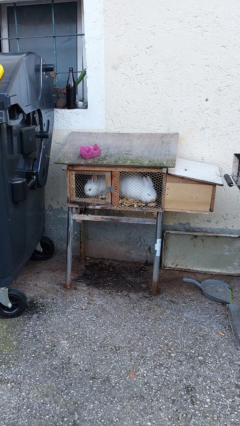 Die Pfotenhilfe zeigte die illegale Tierhaltung an.