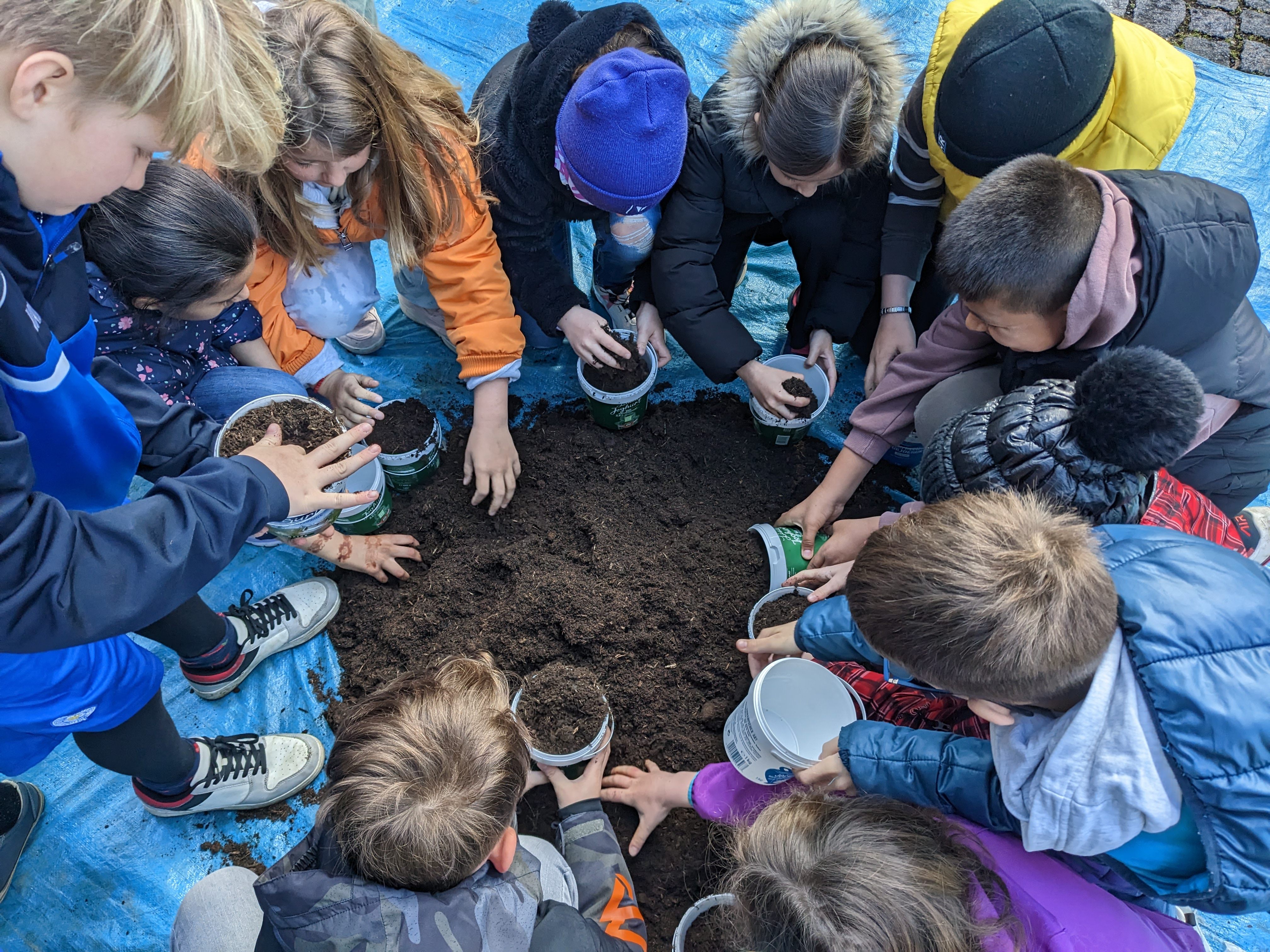 200 Rankweiler Volksschüler pflanzten Kräuter. 200 Rankweiler Volksschüler pflanzten Kräuter.