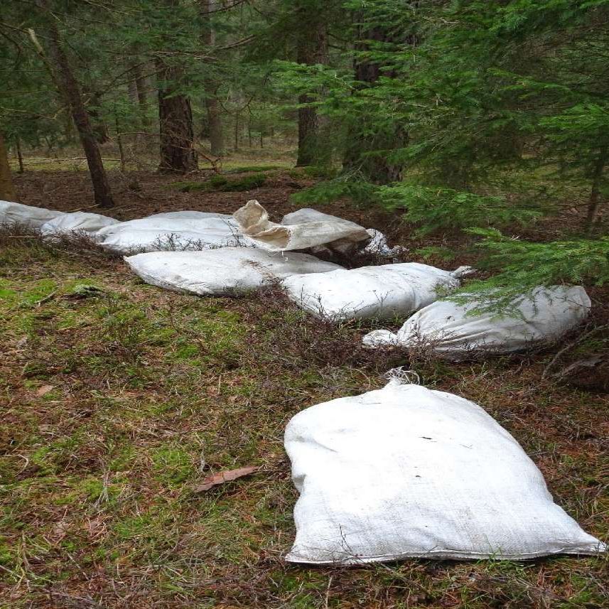 150 tote Hühner wurden in Jutesäcken in Niederösterreich entdeckt.