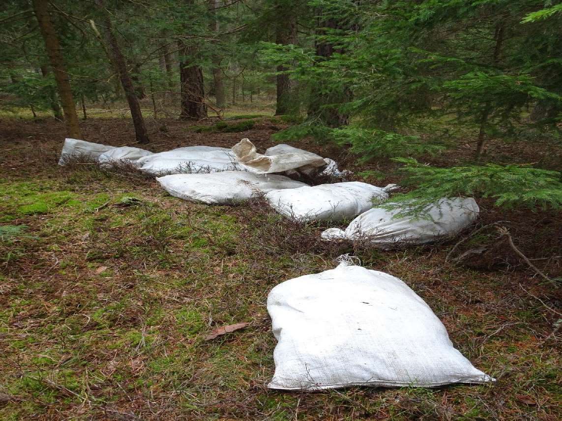 150 tote Hühner wurden in Jutesäcken in Niederösterreich entdeckt. 150 tote Hühner wurden in Jutesäcken in Niederösterreich entdeckt.