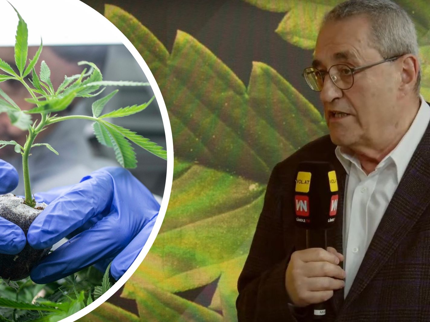 Dr. Alfred Witzmann, Hypnose und Schmerztherapeut, zu Gast bei "Vorarlberg LIVE".