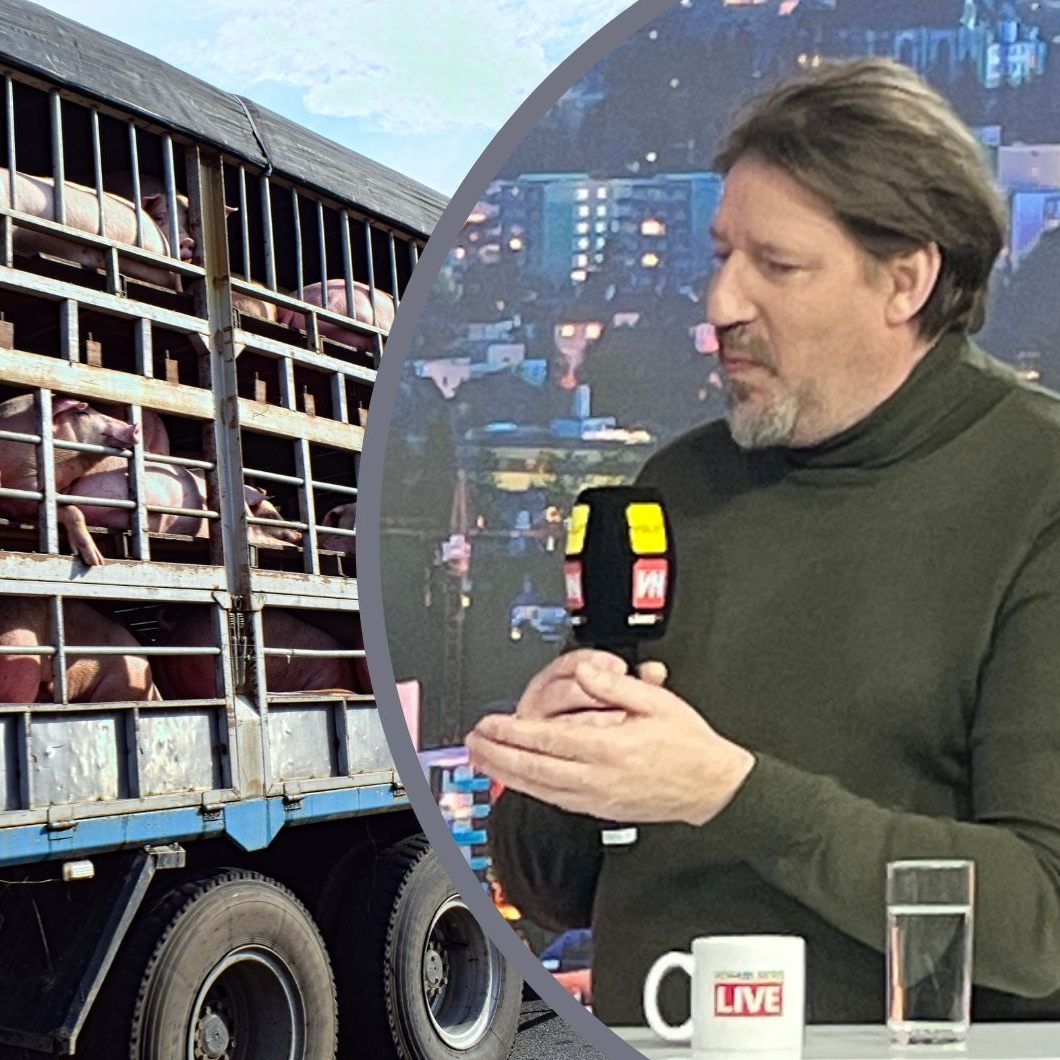 Thomas Waitz sprach am Freitag bei "Vorarlberg LIVE" über "Tierleid auf Rädern".