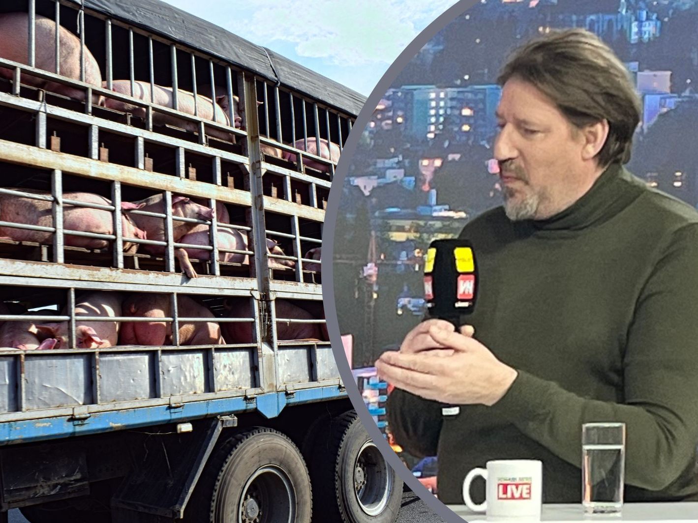 Thomas Waitz sprach am Freitag bei "Vorarlberg LIVE" über "Tierleid auf Rädern". Thomas Waitz sprach am Freitag bei "Vorarlberg LIVE" über "Tierleid auf Rädern".