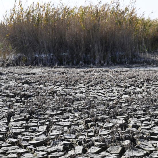 Die Trockenheit im Seewinkel ist für die meisten Oster-Touristen kein Thema.
