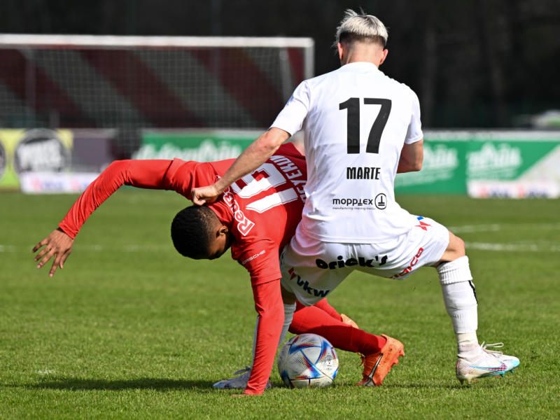 Zweikampf auf der Birkenwiese